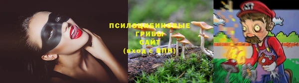 PSILOCYBIN Верхний Тагил