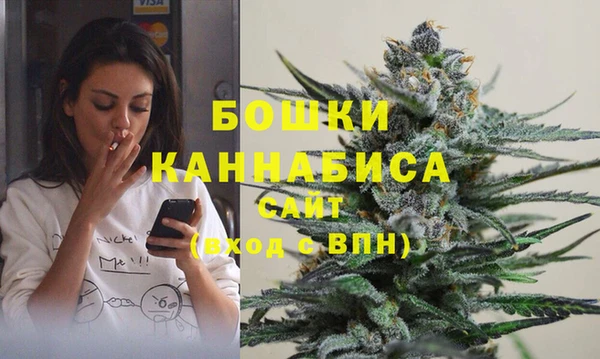 PSILOCYBIN Верхний Тагил