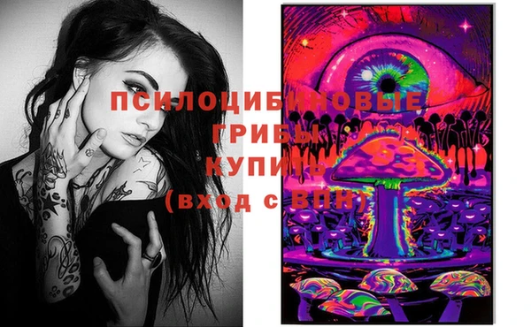 PSILOCYBIN Володарск