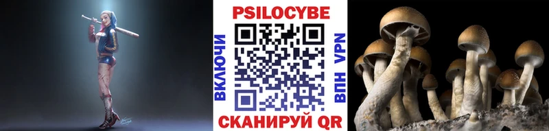 МЕГА ссылки  Рузаевка  Галлюциногенные грибы мухоморы 